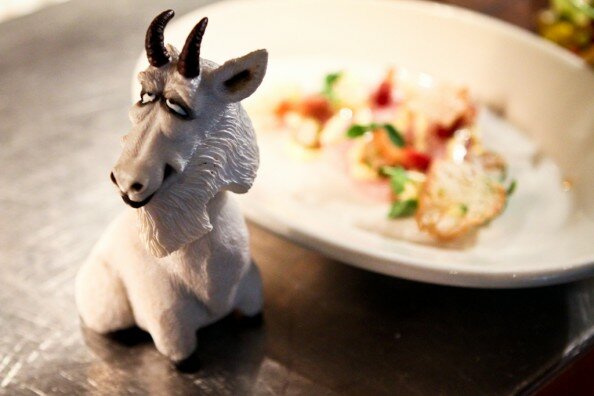 GOAT! GOAT! A ceramic goat figurine at Girl and the Goat